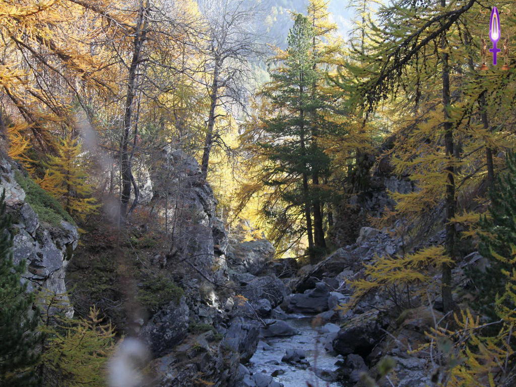 Croix de Lumière, Photo de la Série B No 32 
