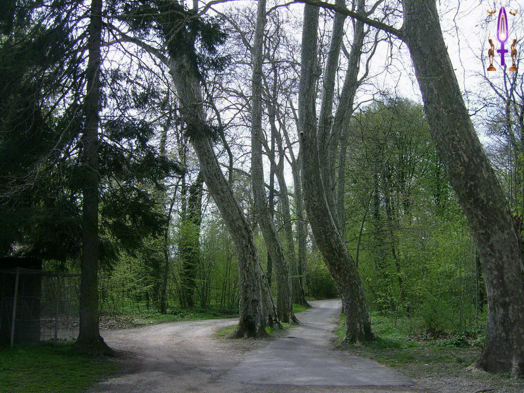 Croix de Lumière, Photo de la Série B No 37 