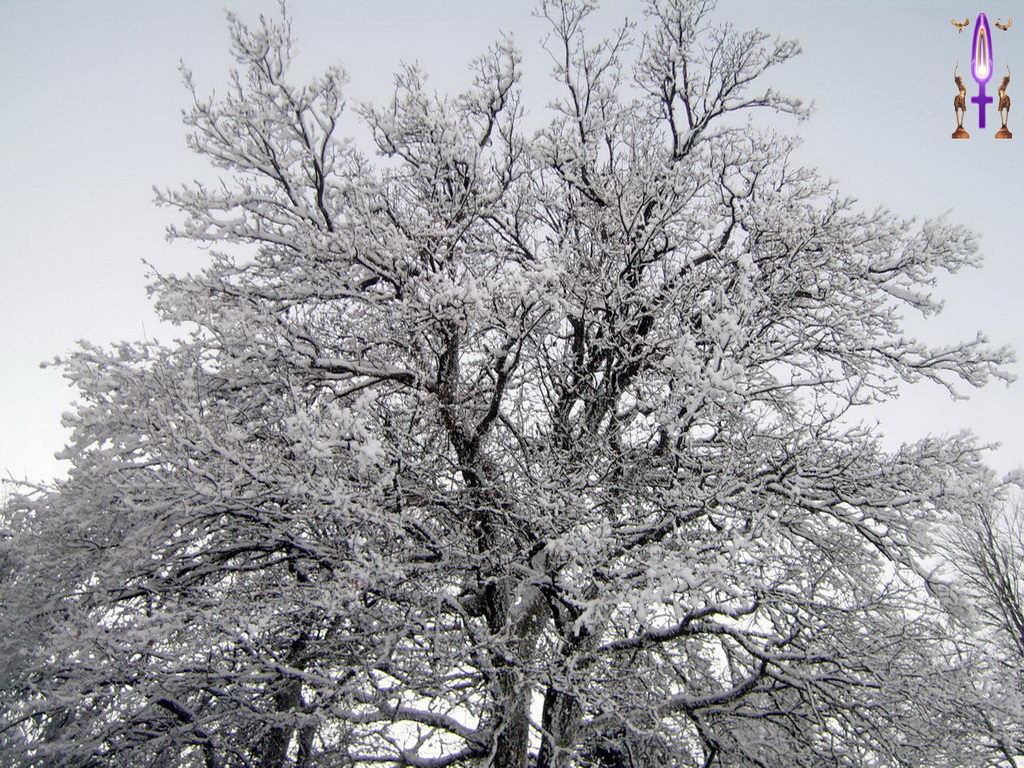 Croix de Lumière, Photo de la Série B No 44 