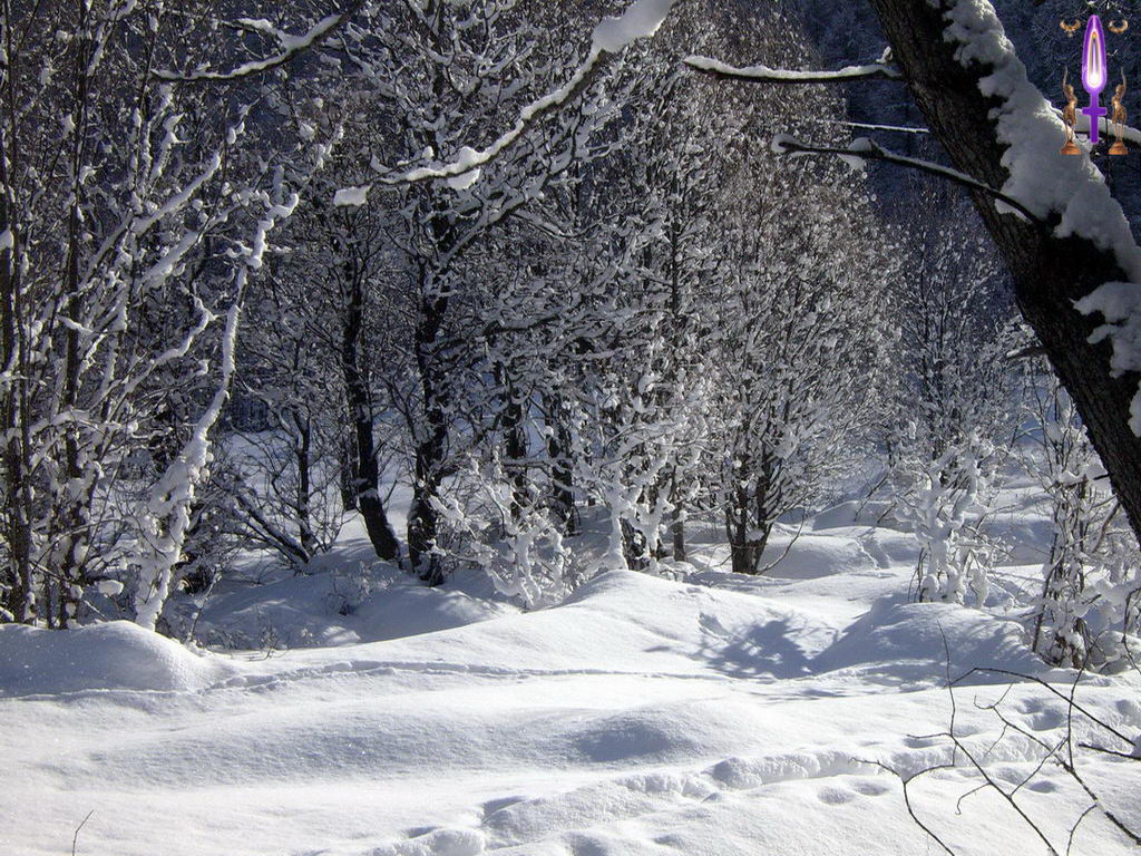 Croix de Lumière, Photo de la Série B No 45 