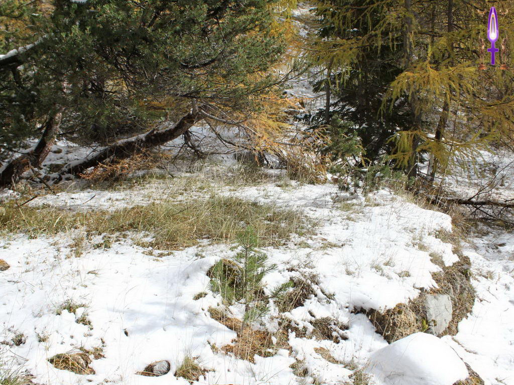 Croix de Lumière, Photo de la Série B No 48 