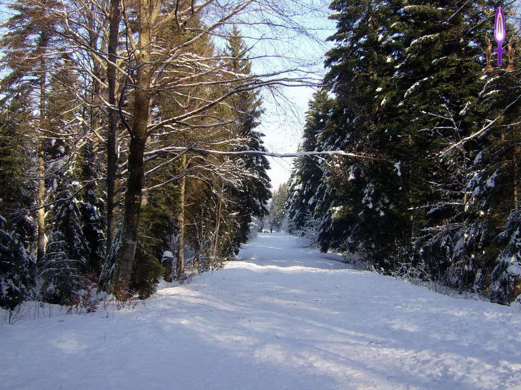 Croix de Lumière, Photo de la Série B No 49 