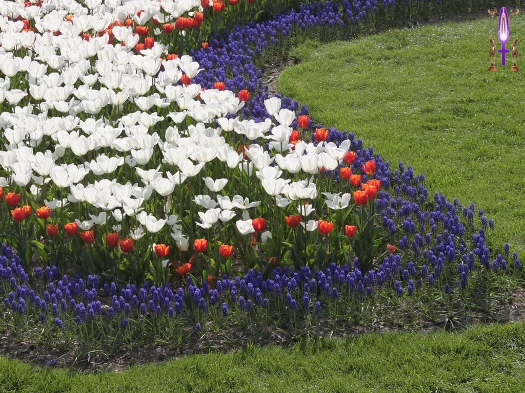Croix de Lumière, Photo de la Série B No 50 