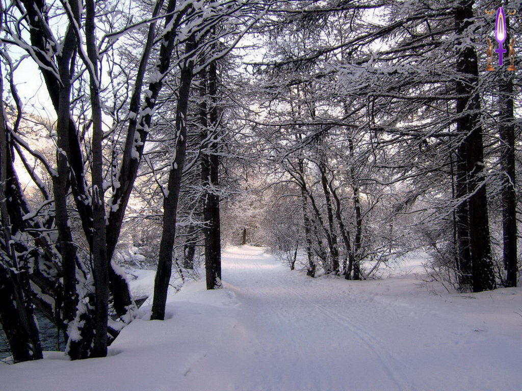 Croix de Lumière, Photo de la Série B No 54 