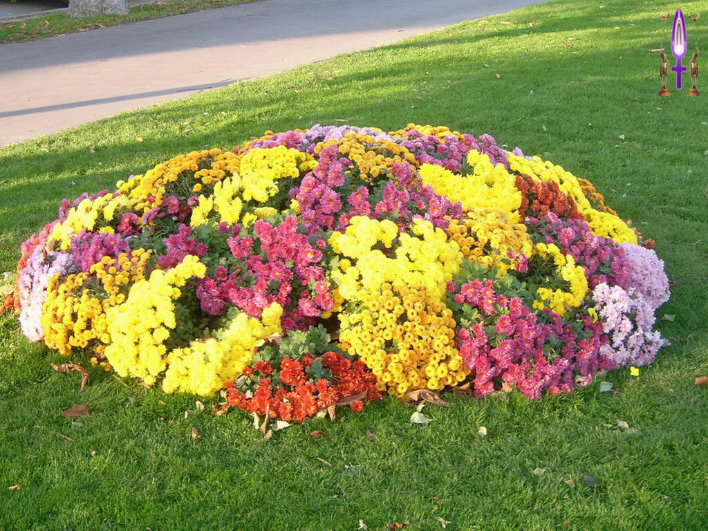 Croix de Lumière, Photo de la Série B No 010 