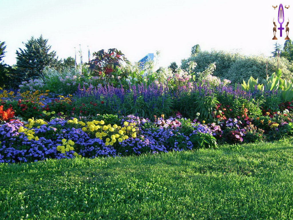 Croix de Lumière, Photo de la Série B No 61 