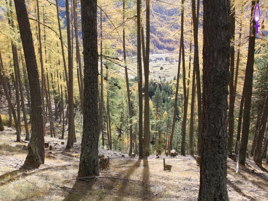 Croix de Lumière, Photo de la Série B No 64 