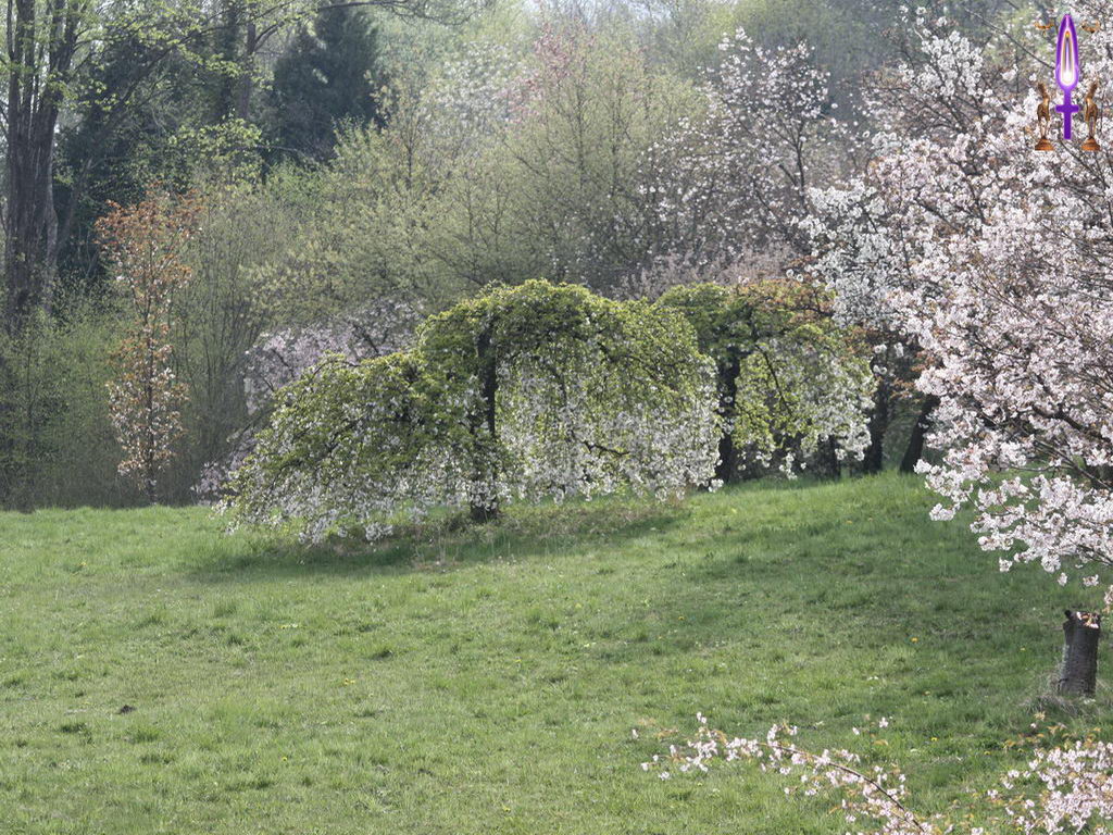 Croix de Lumière, Photo de la Série B No 67 