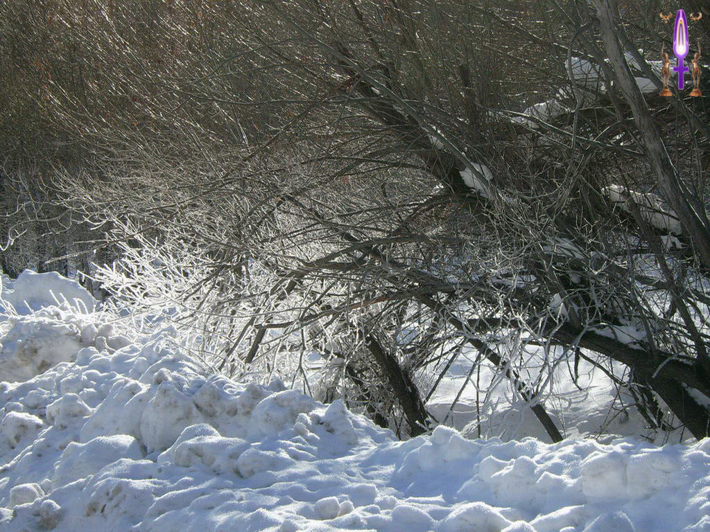 Croix de Lumière, Photo de la Série B No 68 