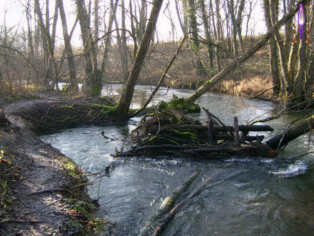 Cliquez sur la Photo pour quitter le Diaporama et Ouvrir la Photo correspondante...