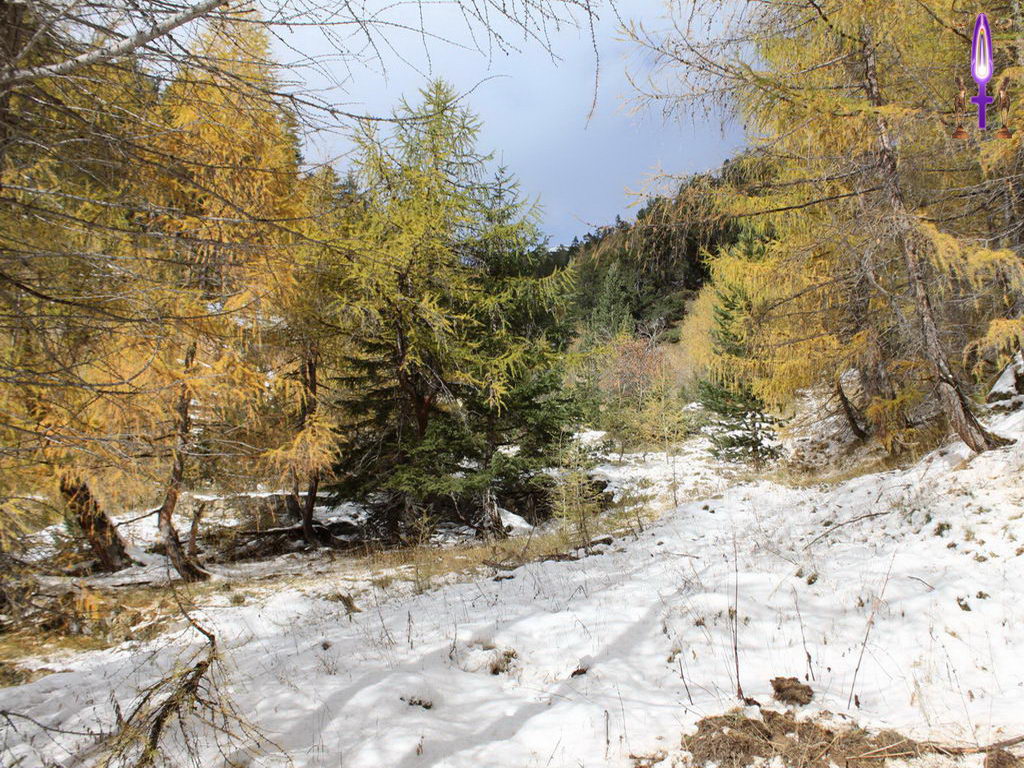 Croix de Lumière, Photo de la Série B No 72 