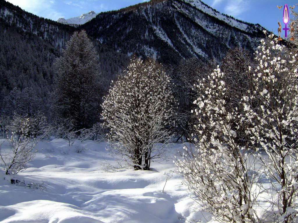 Croix de Lumière, Photo de la Série B No 79 