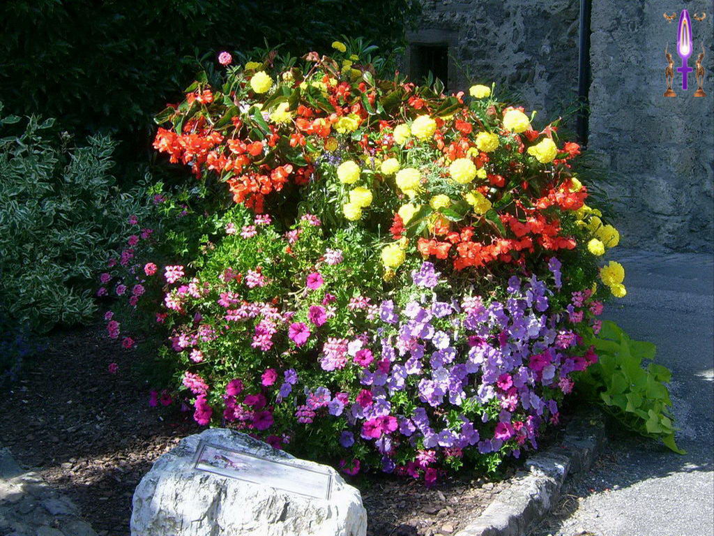 Croix de Lumière, Photo de la Série B No 82 