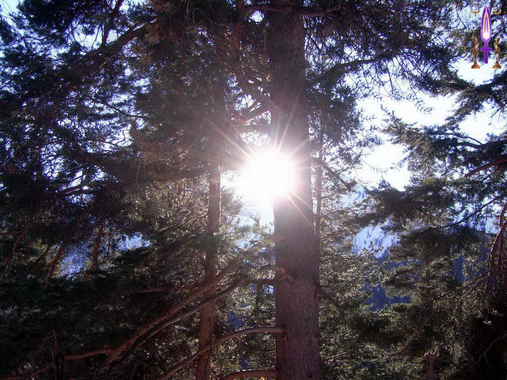 Croix de Lumière, Photo de la Série B No 84 