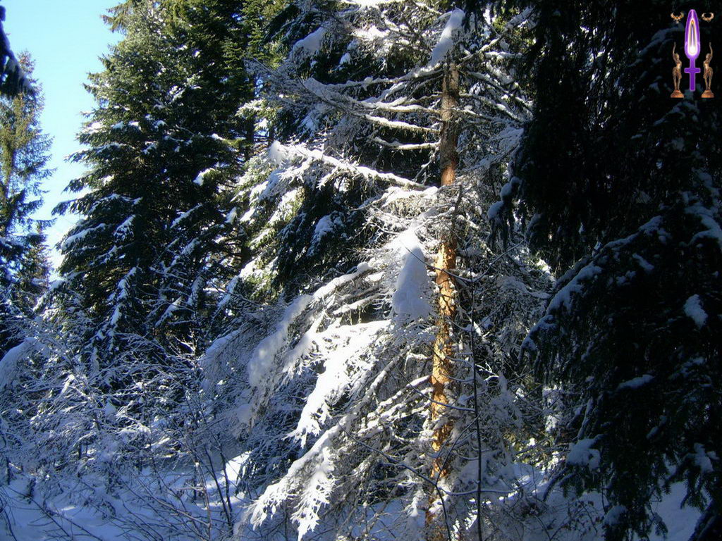 Croix de Lumière, Photo de la Série B No 86 
