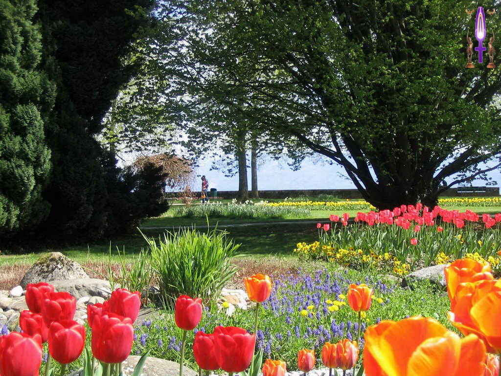 Croix de Lumière, Photo de la Série B No 93 