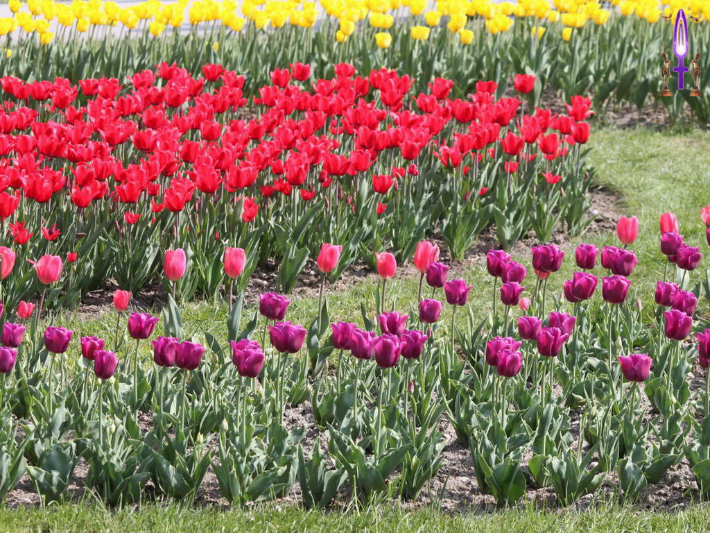 Cliquez sur la Photo pour quitter le Diaporama et Ouvrir la Photo correspondante...