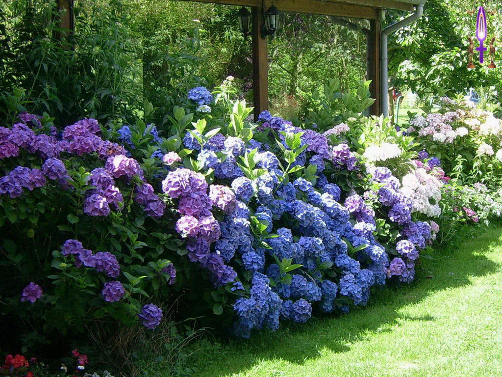 Croix de Lumière, Photo de la Série B No 96 