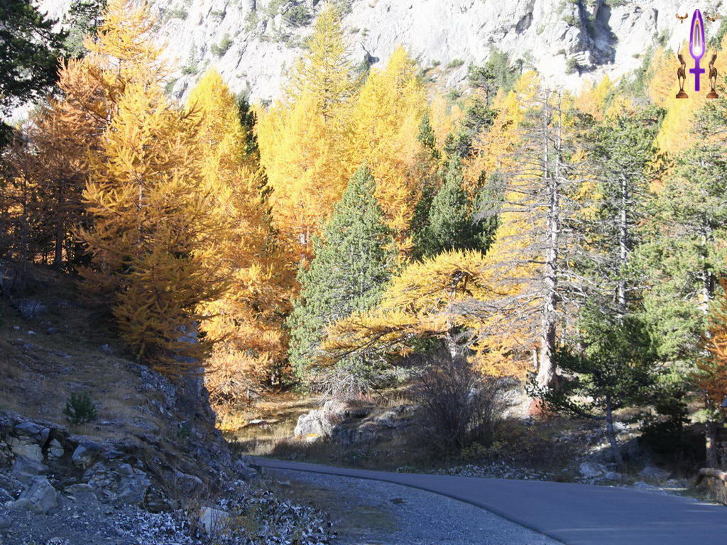 Croix de Lumière, Photo de la Série B No 98 