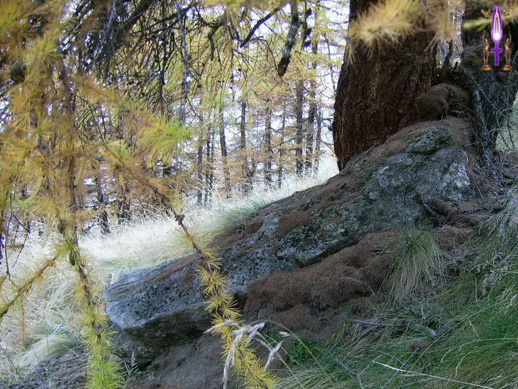Croix de Lumière, Photo de la Série B No 104 