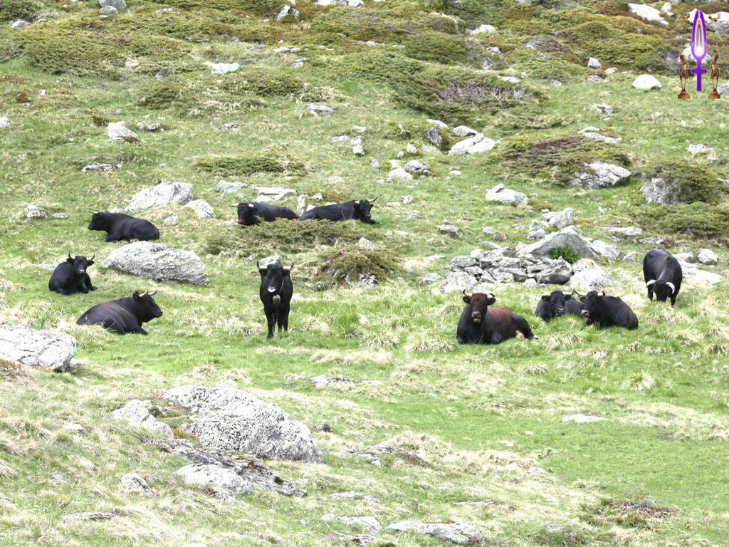 Cliquez sur la Photo pour quitter le Diaporama et Ouvrir la Photo correspondante...