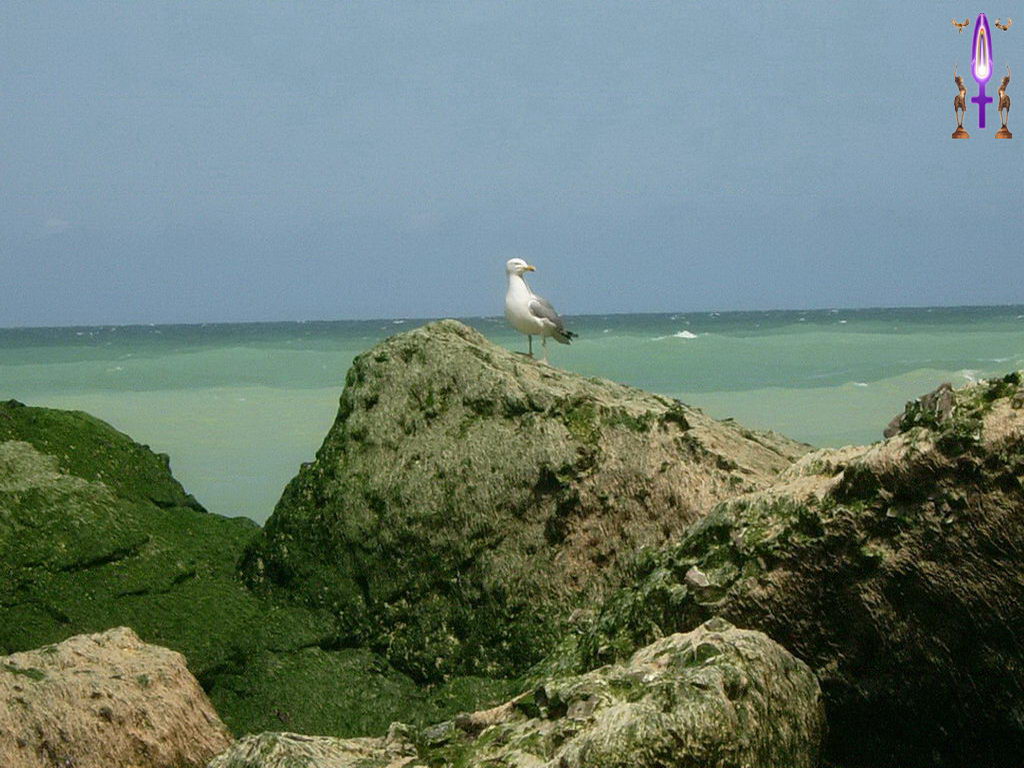 Croix de Lumière, Photo de la Série C No 13 