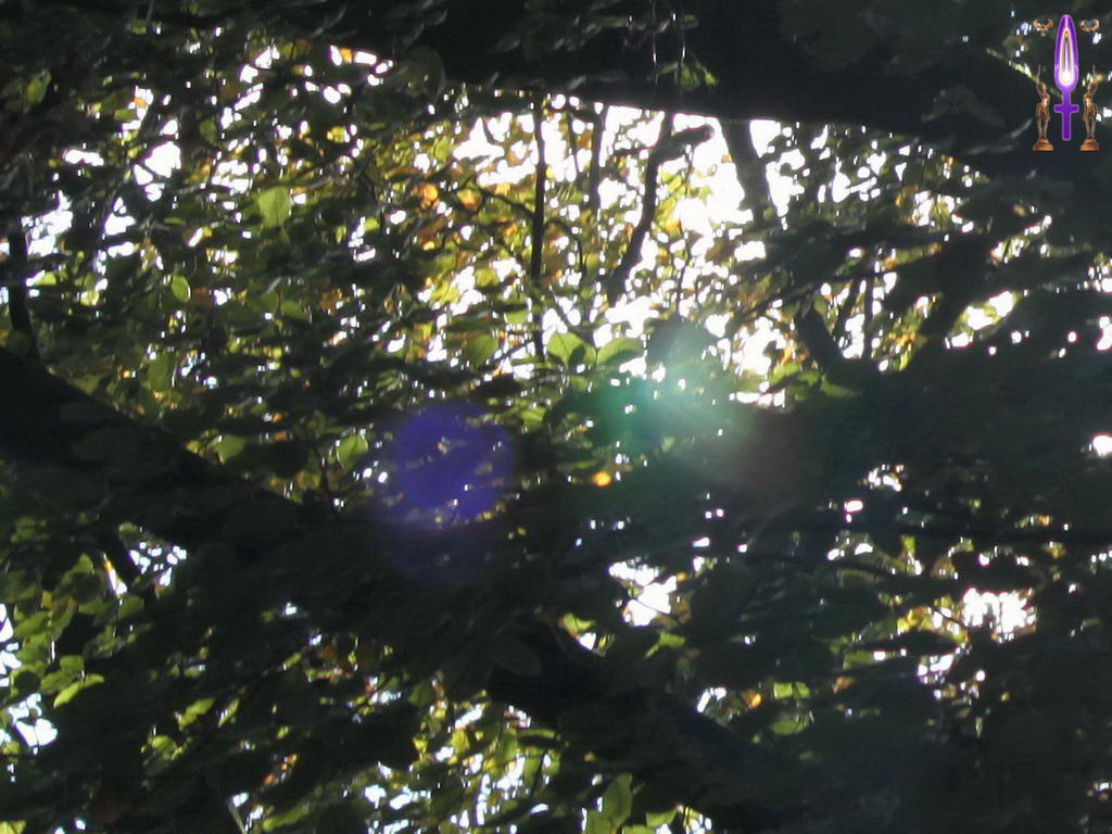 Croix de Lumière, Photo de la Série C No 15 