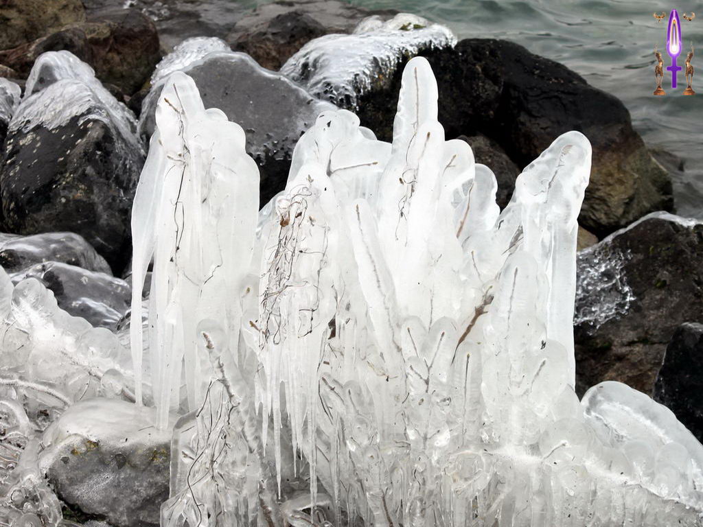 Croix de Lumière, Photo de la Série C No 52 