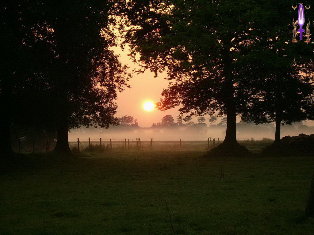 Croix de Lumière, Photo de la Série C No 56 