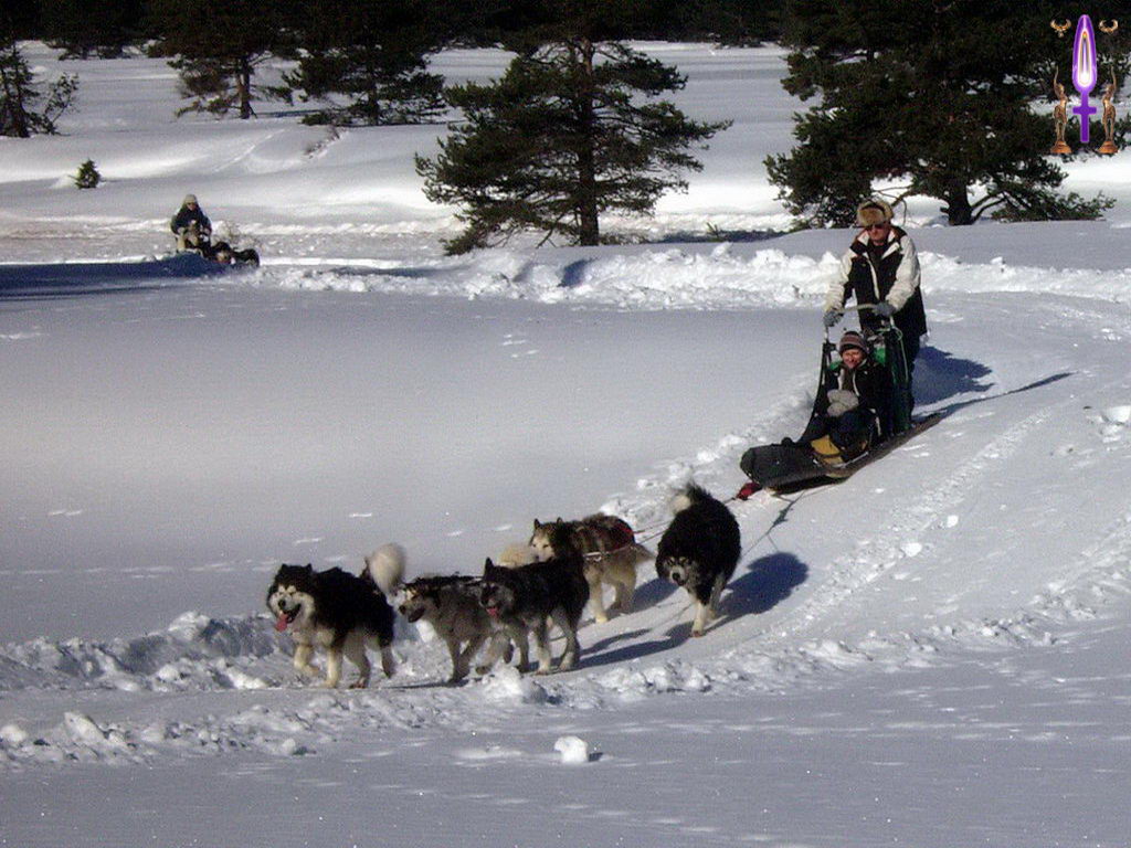 Croix de Lumière, Photo de la Série C No 66 