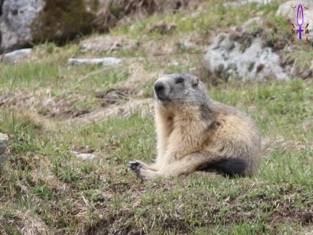 Croix de Lumière, Photo de la Série C No 76 