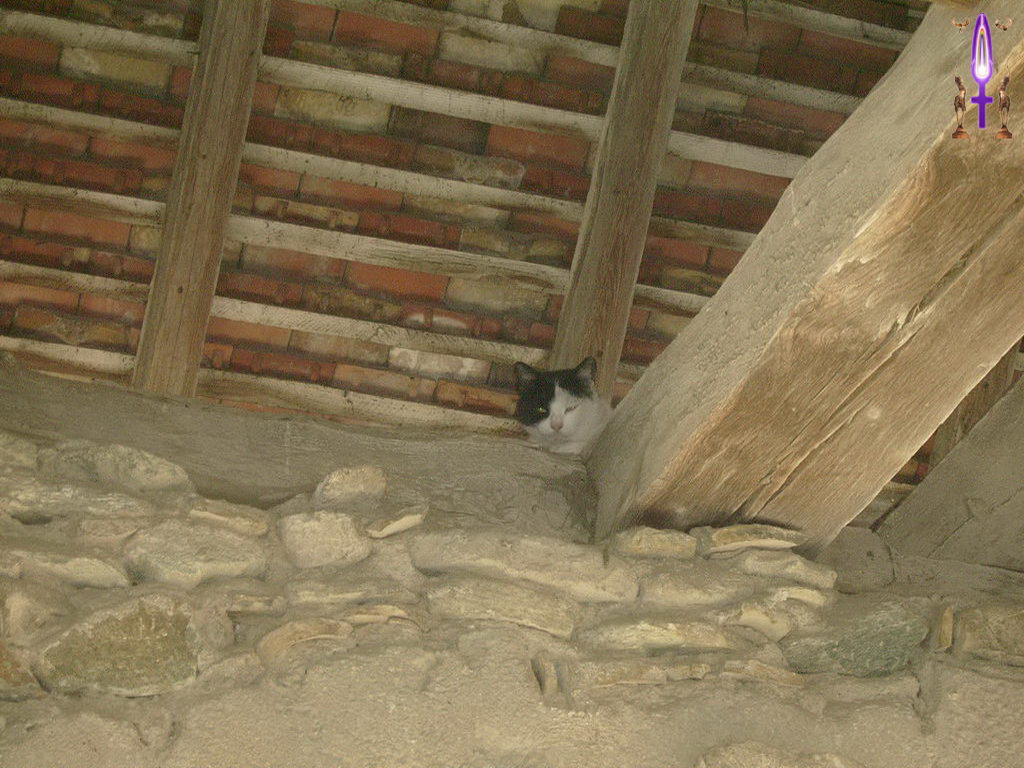 Croix de Lumière, Photo de la Série C No 92 