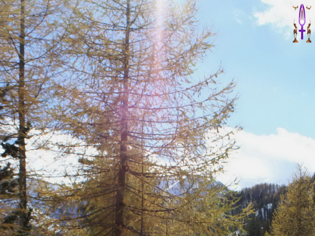 Croix de Lumière, Photo de la Série C No 100 