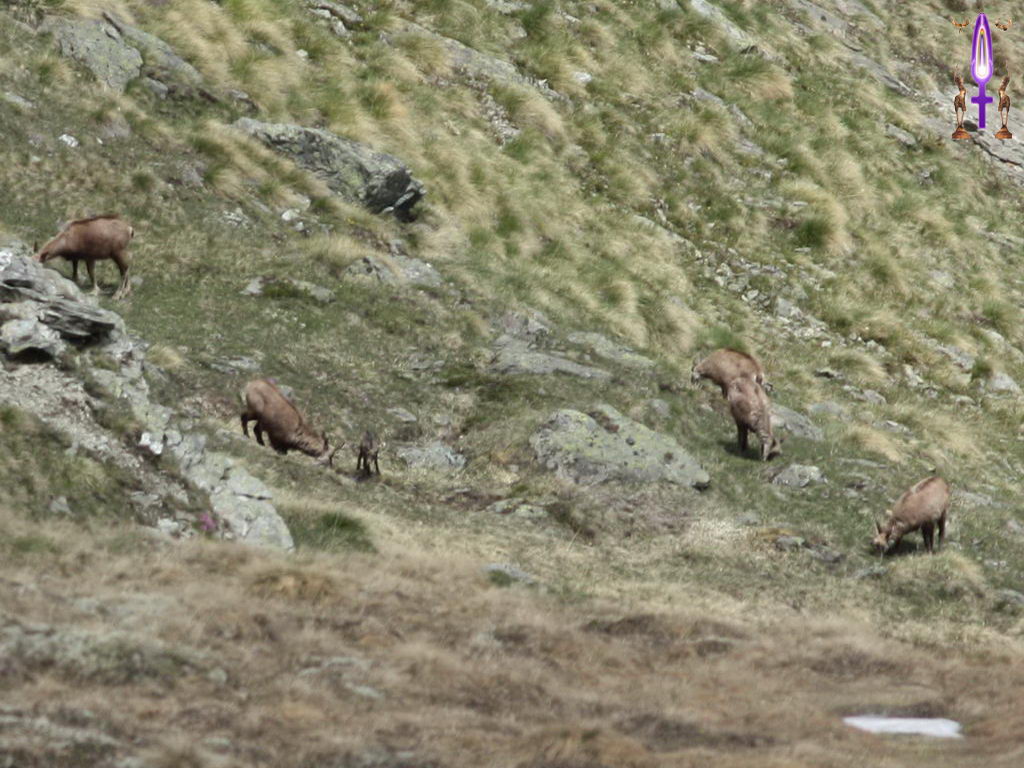 Croix de Lumière, Photo de la Série C No 101 
