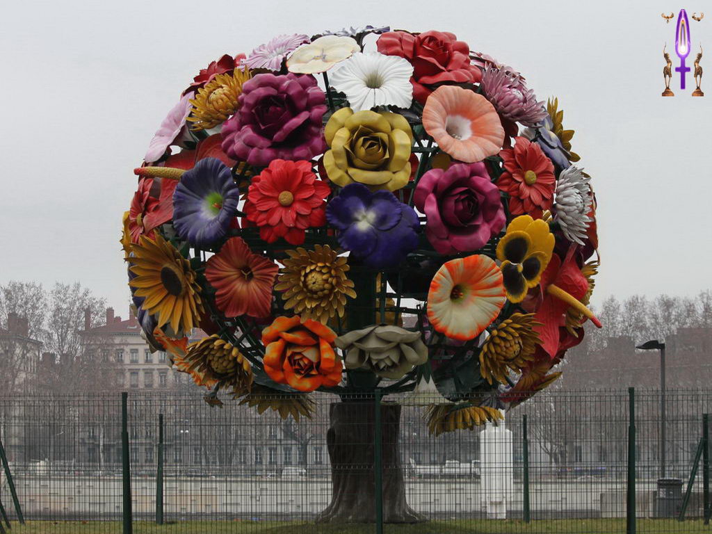 Croix de Lumière, Photo de la Série C No 103 