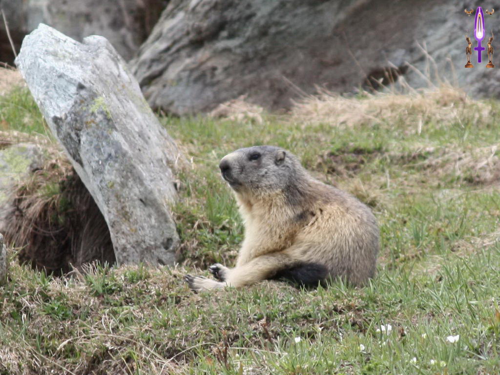 Croix de Lumière, Photo de la Série D No 4 
