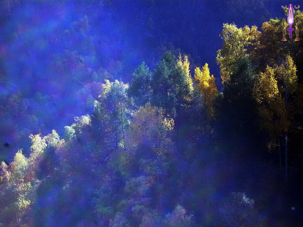 Croix de Lumière, Photo de la Série D No 8 