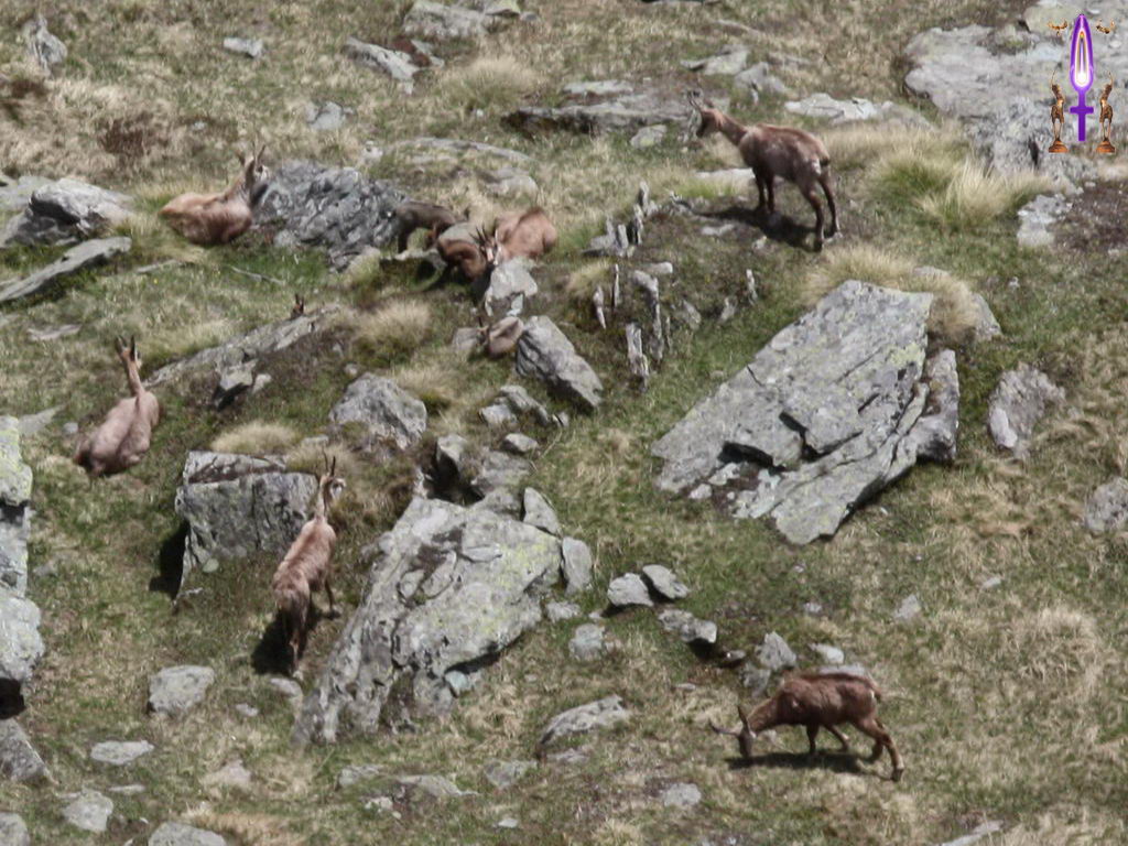 Croix de Lumière, Photo de la Série D No 22 