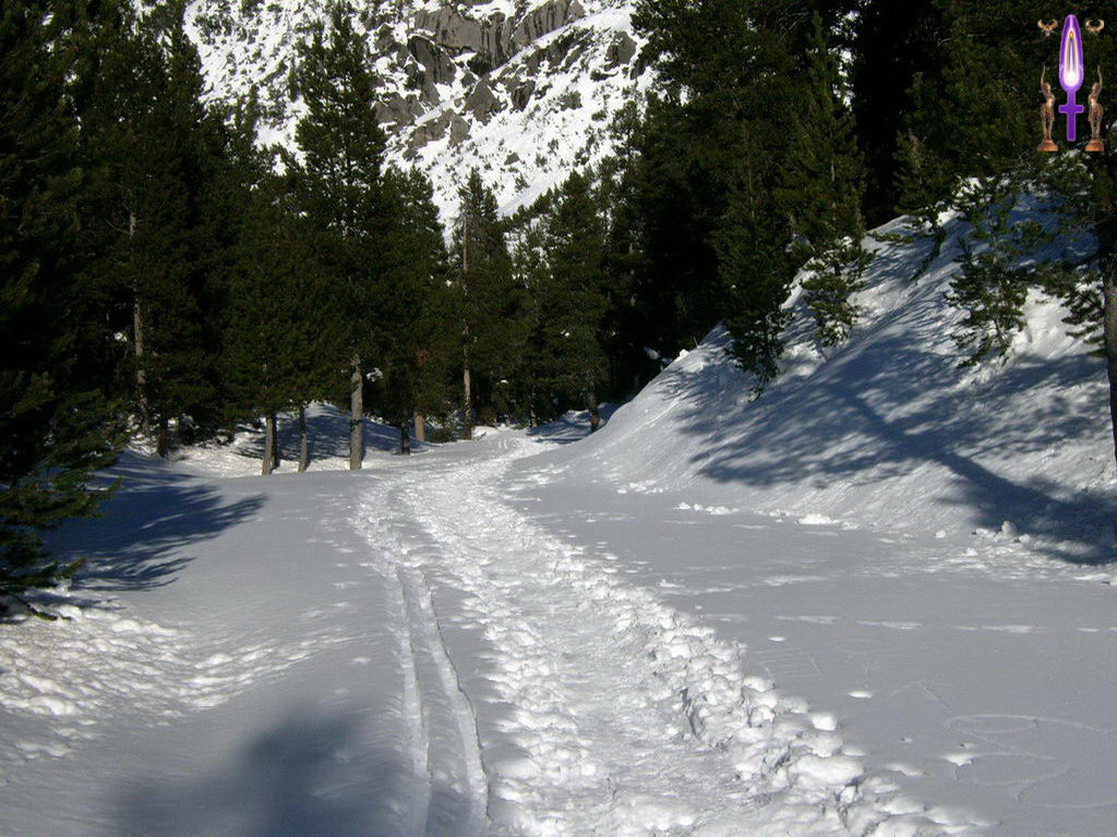 Croix de Lumière, Photo de la Série D No 36 