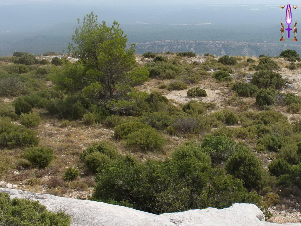 Croix de Lumière, Photo de la Série D No 42 