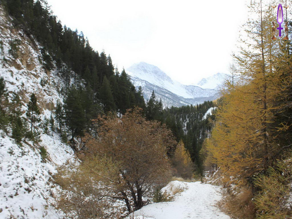 Croix de Lumière, Photo de la Série D No 44 