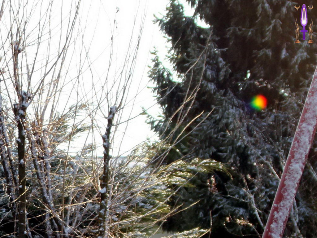 Croix de Lumière, Photo de la Série D No 45 