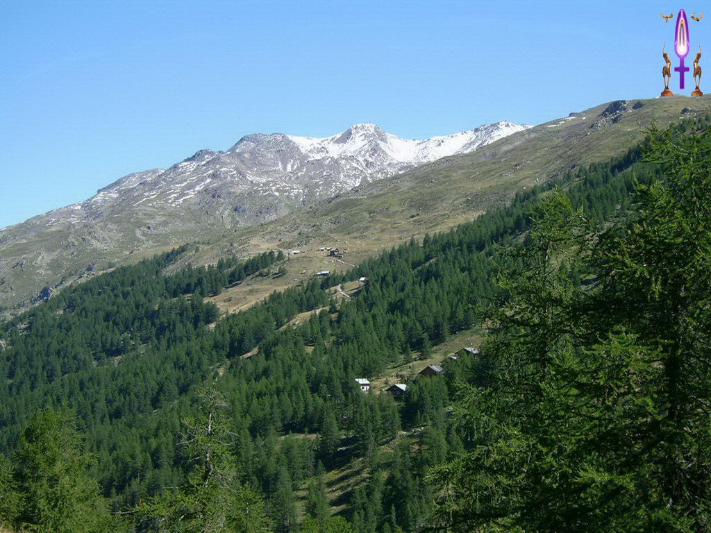 Croix de Lumière, Photo de la Série D No 46 