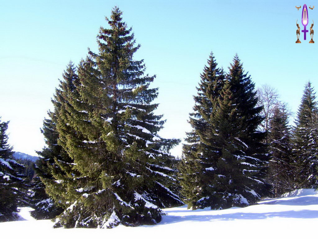 Croix de Lumière, Photo de la Série D No 54 