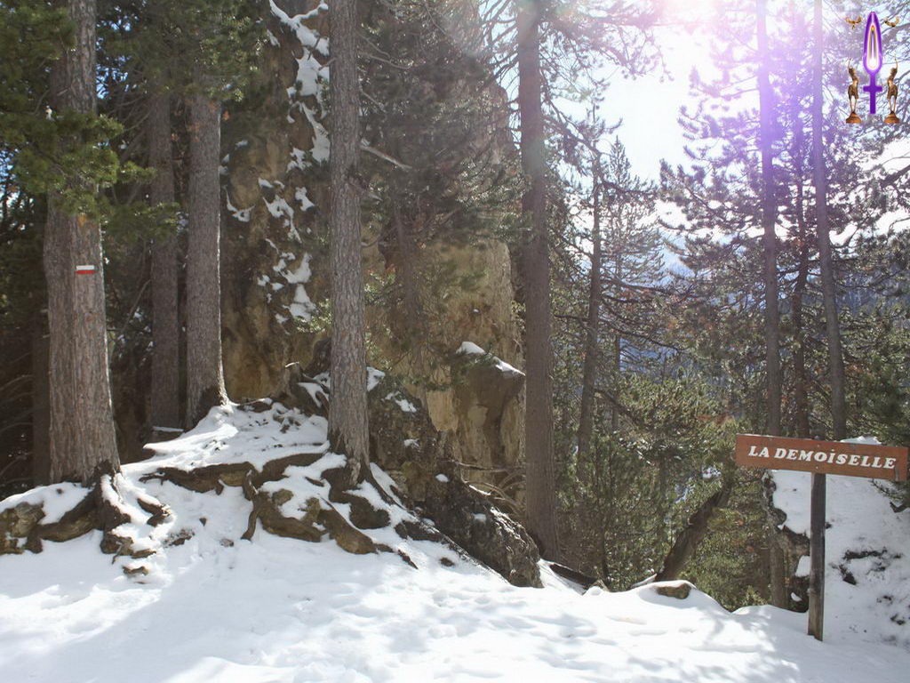 Croix de Lumière, Photo de la Série D No 57 