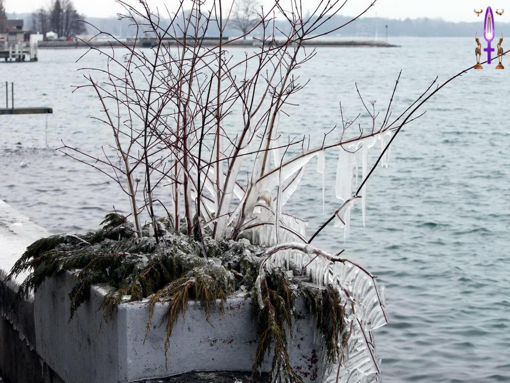 Croix de Lumière, Photo de la Série D No 010 