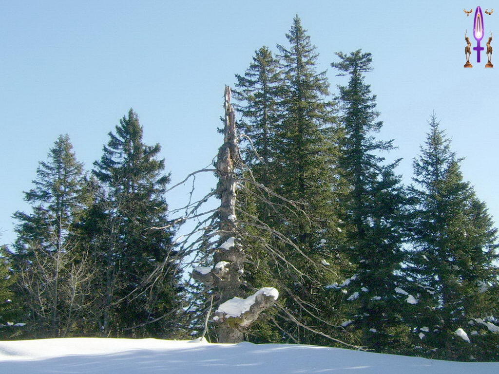 Croix de Lumière, Photo de la Série D No 62 