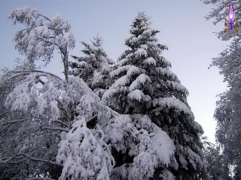 Croix de Lumière, Photo de la Série D No 66 