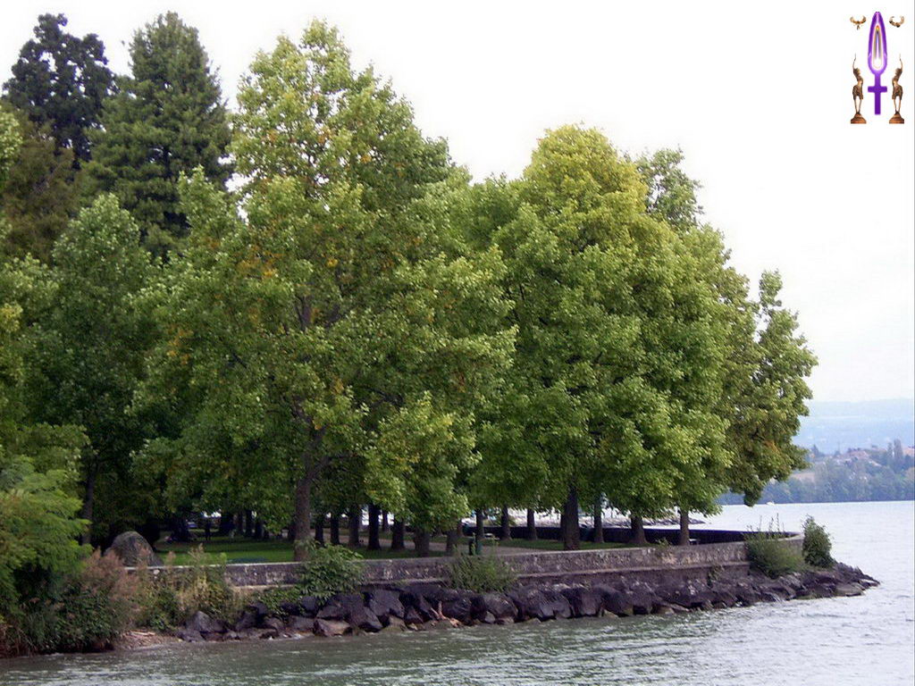 Croix de Lumière, Photo de la Série D No 67 