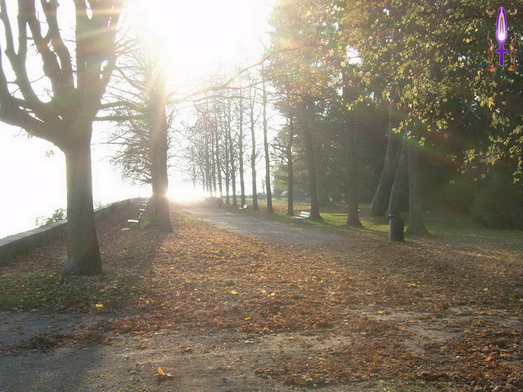 Croix de Lumière, Photo de la Série D No 72 